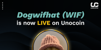 Introducing Dogwifhat (WIF) A playful meme coin listed on Unocoin dogwif hat listed in unocoin