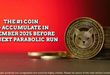 Missed SHIB in 2021? December 2025 Could Be Your Second Chance The _1 Coin to Accumulate in December 2025 Before the Next Parabolic Run