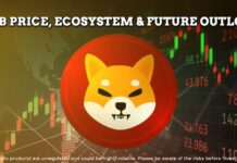 What’s Happening With Shiba Inu Today? SHIB Price, Ecosystem & Future Outlook SHIB Price, Ecosystem & Future Outlook