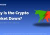 Why Is the Crypto Market Down? Understanding the February 2026 Correction Why Is the Crypto Market Down?
