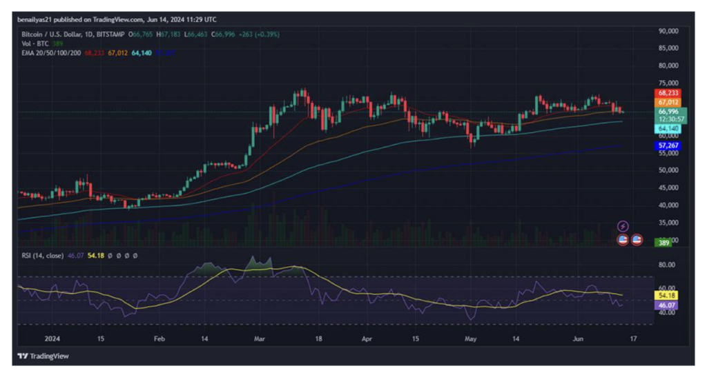Bitcoin Price Movement