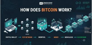How Does Bitcoin Work? Blockchain, Mining & Transactions How Bitcoin works from transaction to blockchain