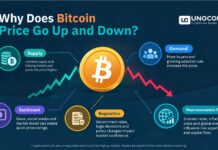 Why Does Bitcoin Price Go Up and Down? Key Factors Why Bitcoin price goes up and down due to supply demand and market factors