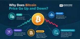Why Does Bitcoin Price Go Up and Down? Key Factors Why Bitcoin price goes up and down due to supply demand and market factors